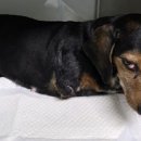 다남로165번길 이미지