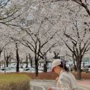 동촌유원지 서편주차장 네이버블로그