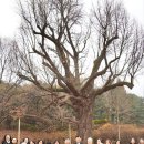 복덕 경로당 이미지