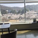 구미 공유오피스 추천 | 두드림스페이스 공유오피스 이용후기ㅣ구미역 인근 공유사무실
