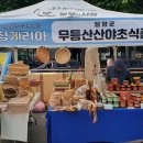 무등산 산야초식품
