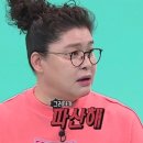 스프링폴 이미지