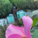 금당중학교 옆 이미지