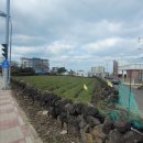 일주동로 이미지