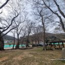 당목마을 당제 이미지