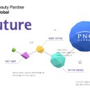 피앤씨글로벌