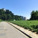 일죽약국 이미지