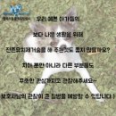 Helix ADI Center : 헬릭스 영상진단센터 이미지