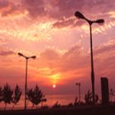 해돋이목장 이미지