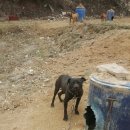 문이농장 이미지