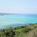 해밀날오후 이미지