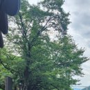 까치구멍집선물보자기