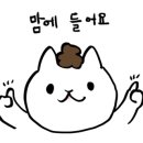 이인자헤어