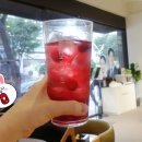 세라젬 분당정자직영점