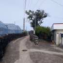 상예동지석묘 3호 이미지