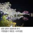 지에스25김천교동점 | 김천 연화지 밤벚꽃 축제 방문 후기 실시간 분위기 주차장 화장실 공연 포토존 푸드존 총정리