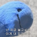 서로 | [김포] 구래동 술집 &#39;서로주가&#39; 방문후기 !