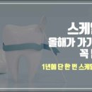 해마루치과의원 이미지