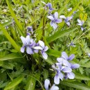 대자연공인중개사사무소 이미지