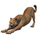 고운몸한의원 이미지