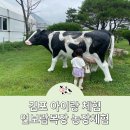 덕현목장 4농장 | 김포 아이랑 체험 연보람목장 예약 팁 농장체험 피자만들기 한번에