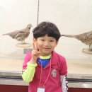 경성대학교 박물관 이미지