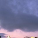 만석로 | 수원 가볼만한 곳 만석공원 벚꽃 피크닉 후기(주차장/맛집추천/불꽃놀이 자리꿀팁)