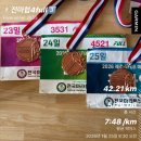 2026 제주 4full 마라톤, 3일차 제마클 단체 참가, 동반주의 매력