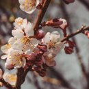 인사불성 이미지