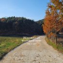 송지호부동산중개사무소 이미지