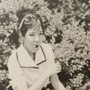 7080헤어 이미지