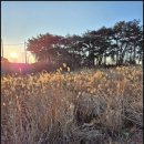 마망펜션 | 가족과 편안하게 쉬고 온 정동진펜션 마망펜션 후기