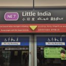 태형안전 | [싱가포르] 혼자 여행 🇸🇬현지인이 절대 가지 말라는 리틀인디아 여행 솔직후기