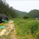 수산리-18 티스토리