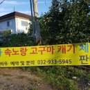 바우내민박 이미지