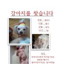 서울중곡초등학교 이미지