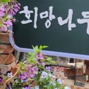 희망건어물