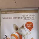 집밥술 이미지
