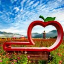 청송정원 이미지