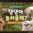 장관종합전문정비 이미지