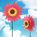 썬플라워 이미지