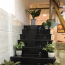 드라이브인띠아모호텔 | 레몬트리마사지 베트남 다낭 호이안 자유여행