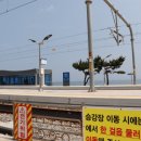 정동진 | 강릉 정동진 해물찜 맛집 정동진해물탕 리얼후기