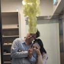 놀타이