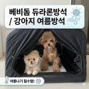 베비돔 | 3만원대 강아지여름방석 추천 베비돔 듀라돈 소형견 쿠션 사용 후기