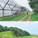 평화1길 이미지