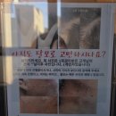 (주)메디플래닝 | 인천논현동 피부관리, 신부관리추천 붓기빼는 윤곽관리 스킨플래닝과 물방울리프팅