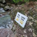 신선계곡주차장 이미지