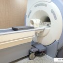 온레스트그루밍 이미지