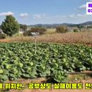 서산황금알공인중개사사무소 이미지